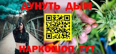 индика Ярославль